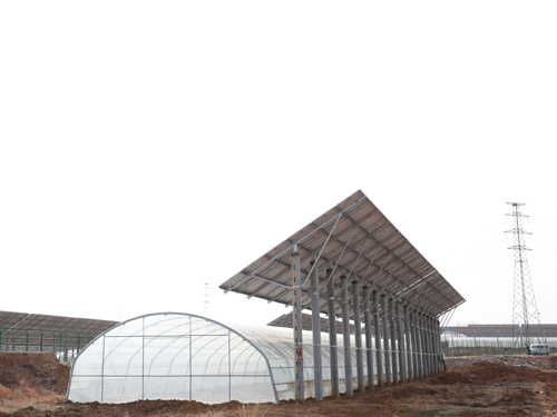 农光互补新能源光伏落户兴泰农家