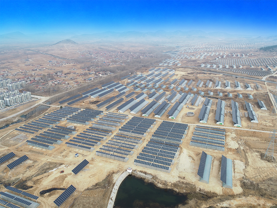 山东新泰100MW农光互补发电项目.jpg