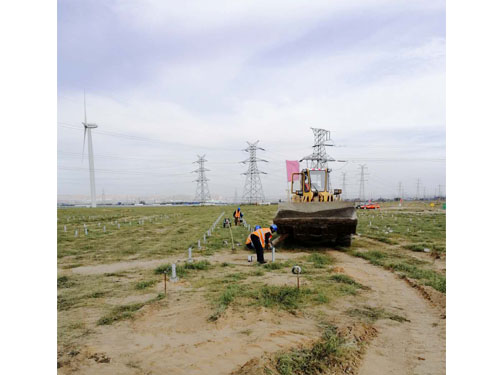 �������ע׮